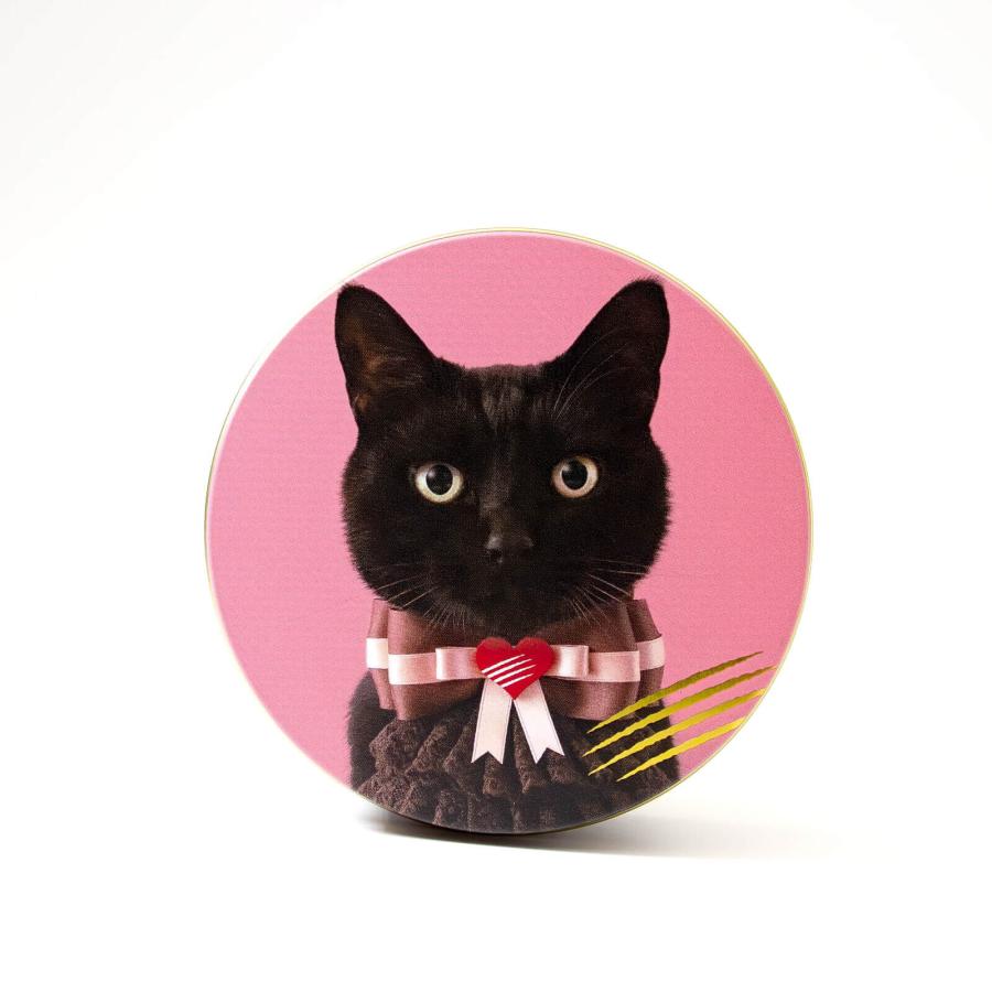 cacaocat チョコレート カカオキャット 缶 ミックス5個入り 缶