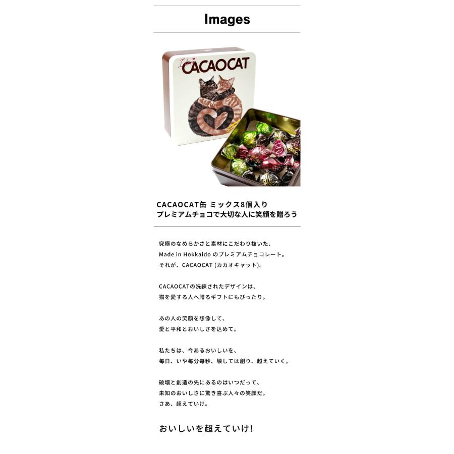 cacaocat チョコ セール CACAOCAT缶(カカオキャット cacaocat チョコ セール CACAOCAT缶(カカオキャット