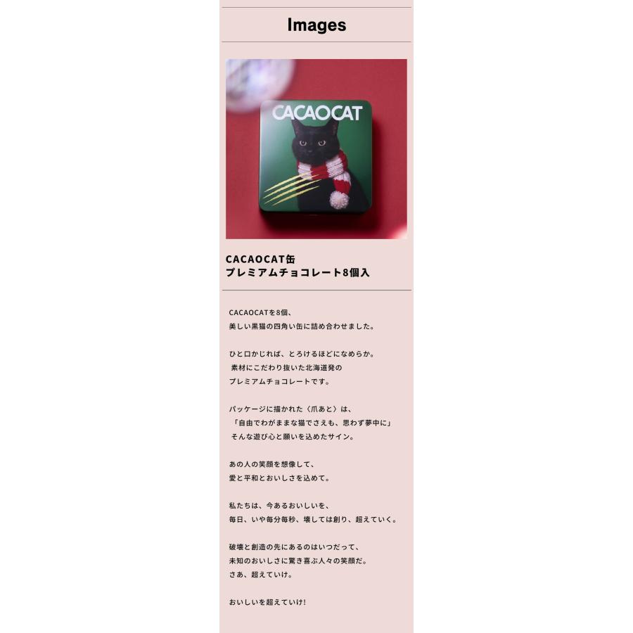 CACAOCAT カカオキャット 缶 ミックス チョコレート 8個入り アソート