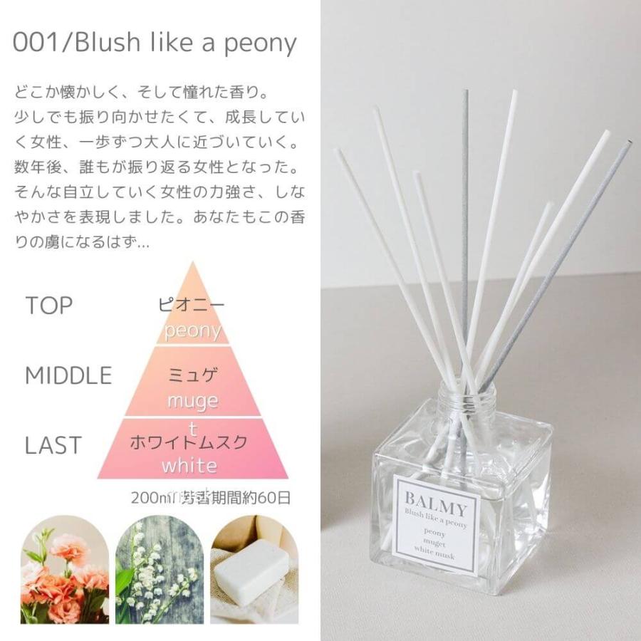 EBMアールジー ネイティヴビューティー ハルモニア ラグジュアリー 3