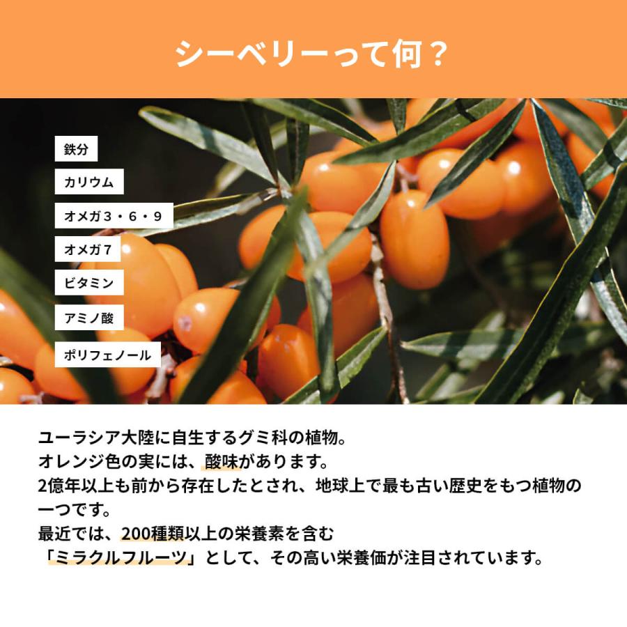 4点セット だいじょうぶなもの 北欧産プレミアム サジージュース シーベリージュース スティック 15g×15本入り オメガ7 オーガニック 無添加 ノンカフェイン ドの画像