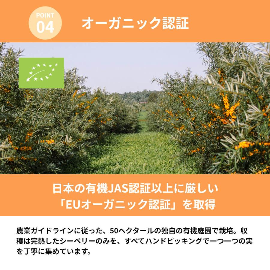 4点セット だいじょうぶなもの 北欧産プレミアム サジージュース シーベリージュース スティック 15g×15本入り オメガ7 オーガニック 無添加 ノンカフェイン ドの画像