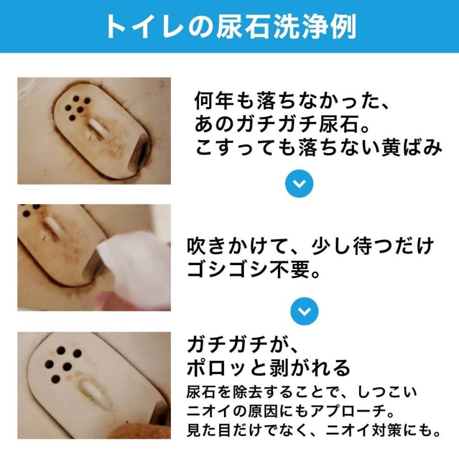 ピュアケミカ カルスケG 尿石除去剤 業務用 400ml 原液タイプ 5-10倍 