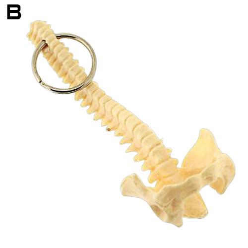 人体模型・骨格 キーホルダー ラウンドフラット : Yoga-Pi! - 通販