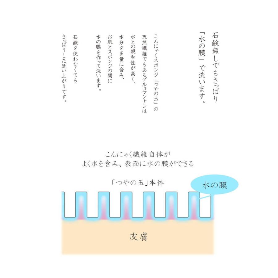 最大69 Offクーポン こんにゃくスポンジ つやの玉 顔用 元祖 こんにゃく 洗顔 スポンジ 日本製 畑中和義商店 美白 角質 ギフト プレゼント プチギフト Materialworldblog Com