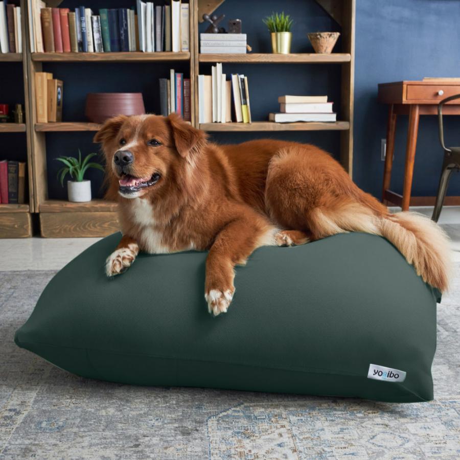 Yogibo（ヨギボー） 【送料無料】 【ペット対応】 Yogibo Zoola Lite