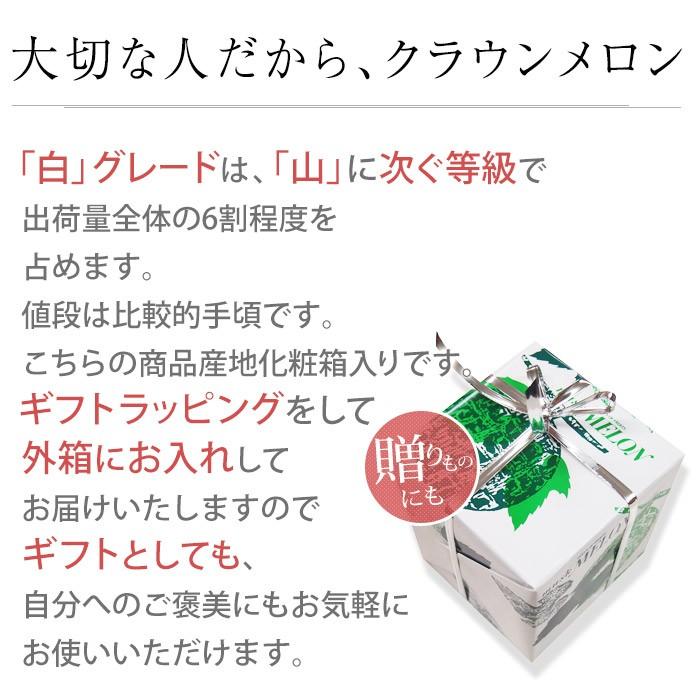 メロン 静岡県産 クラウンメロン 1個 等級：白 1.3kg以上 化粧箱入｜yogmogg｜02