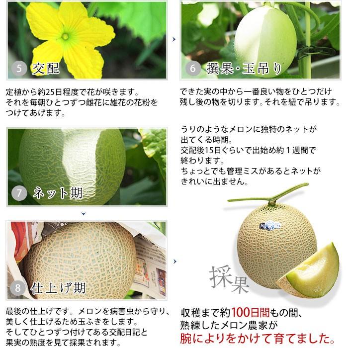 メロン プレゼント クラウンメロン 1個 等級 山 1 3kg以上 高級桐箱入 産直プレミアム 通販 Yahoo ショッピング