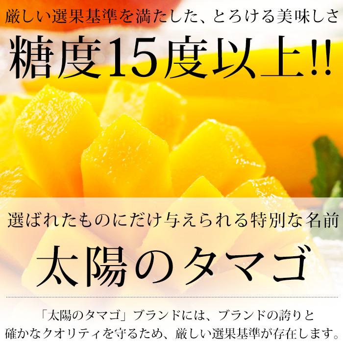マンゴー 太陽のタマゴ 宮崎県産 青秀 4Lサイズ 2玉 爆買 : 産直