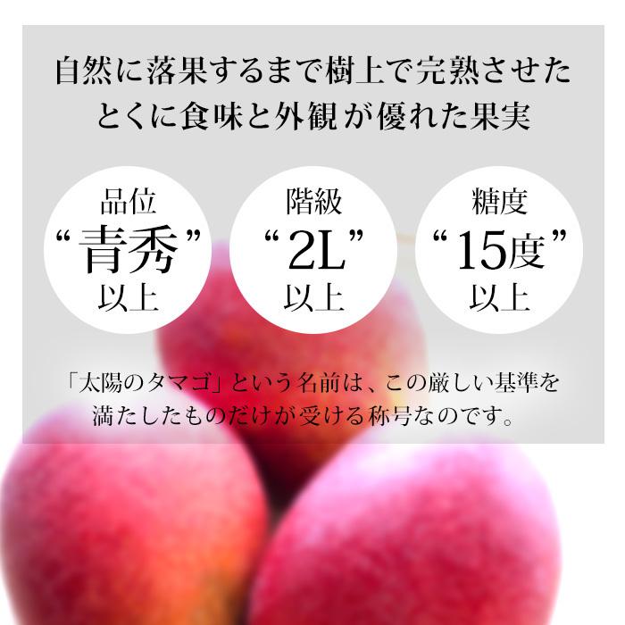 マンゴー 太陽のタマゴ 宮崎県産 青秀 4Lサイズ 2玉 爆買 : 産直