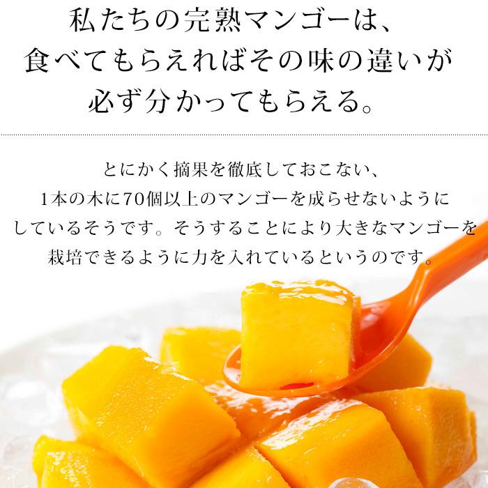 マンゴー 太陽のタマゴ 宮崎県産 青秀 4Lサイズ 2玉 爆買 : 産直