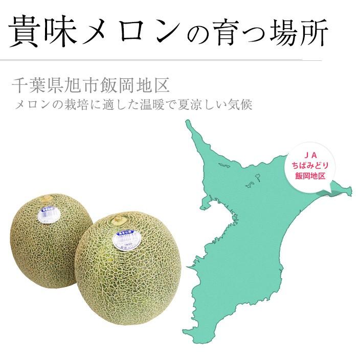 メロン 千葉県産 飯岡 貴味メロン タカミメロン 千葉 約3kg 4Lサイズ以上 2玉｜yogmogg｜05