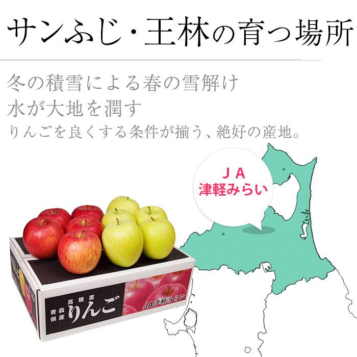 りんご 楽天市場】黄王リンゴ きおうりんご 約5kg 中玉 18〜20個入り