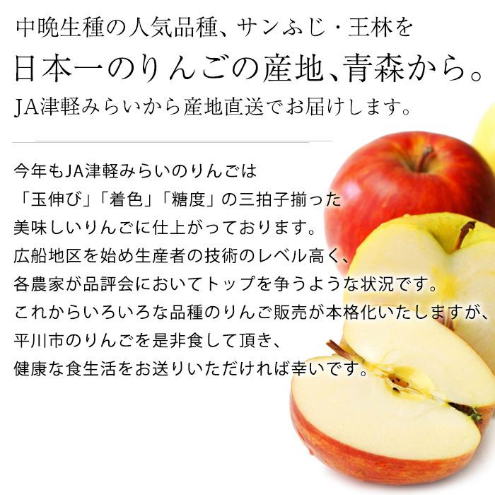 ★期間限定★青森県産 ふじ りんご 大＆特大玉 家庭用 6~8玉 ㉑