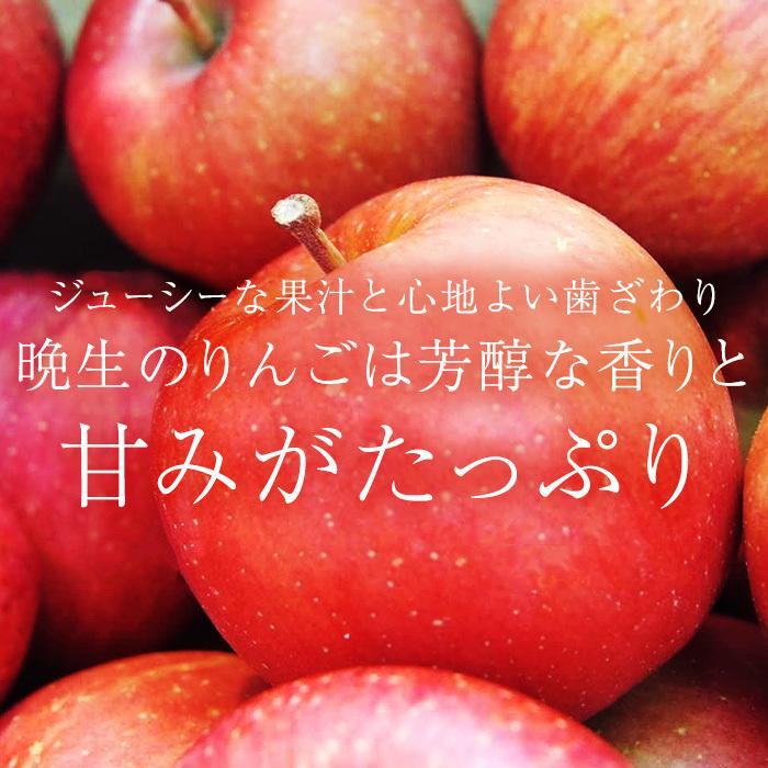 りんご りんご サンふじ 王林 MIX 青森県産 特A 約3kg 9〜12玉 : 産直