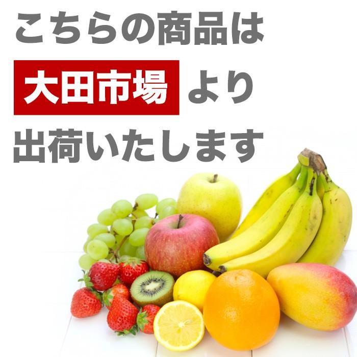 ゼリー 熊本県産 デコポンゼリー 12個入｜yogmogg｜05