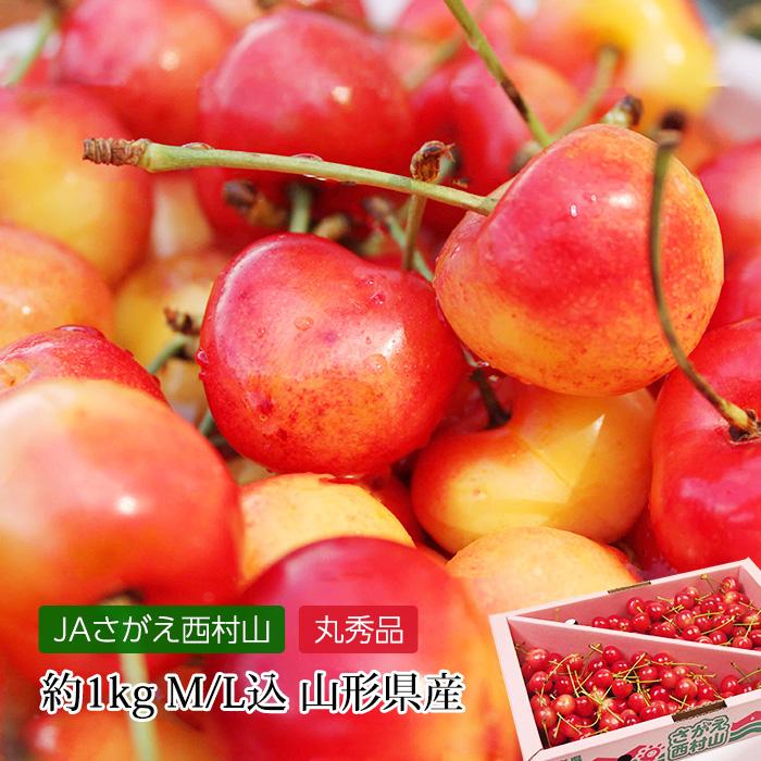 売れ筋ランキングも掲載中！ さくらんぼ 佐藤錦 丸秀品 サイズ混合 1kg