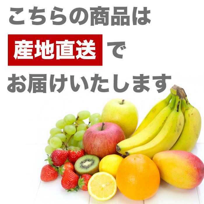 マンゴー 宮崎県産 完熟宮崎マンゴー 3Lサイズ以上 (460g以上)×2玉｜yogmogg｜10