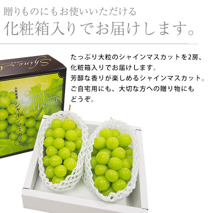 リピート‼︎qoochan プロフ必読です❤️専用山梨県産シャイン