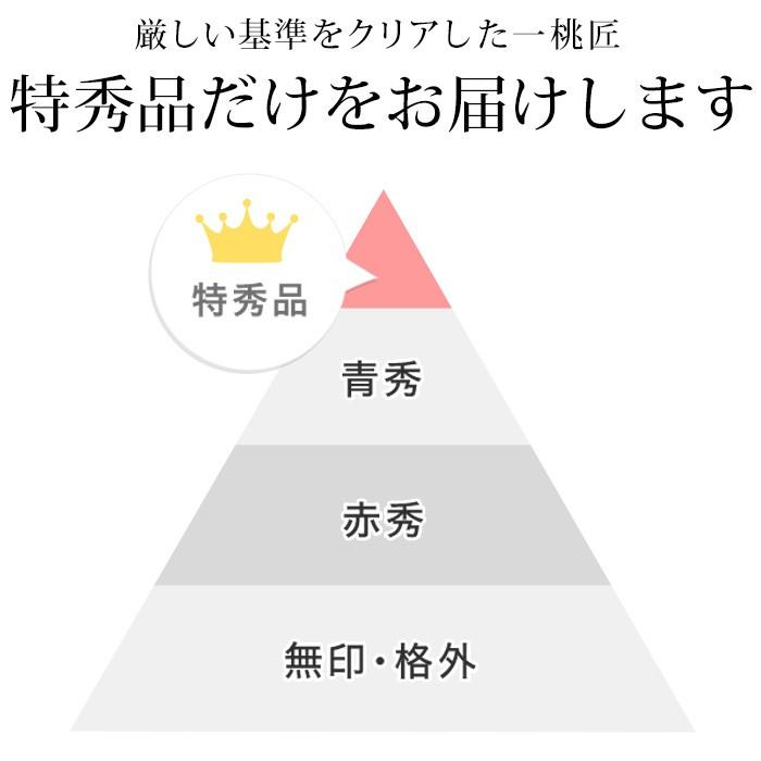 桃 山梨県産 春日居のもも 特秀品 約1.8kg 7〜8玉｜yogmogg｜03