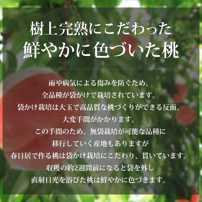 桃 山梨県産 春日居のもも 特秀品 約1.8kg 7〜8玉｜yogmogg｜06