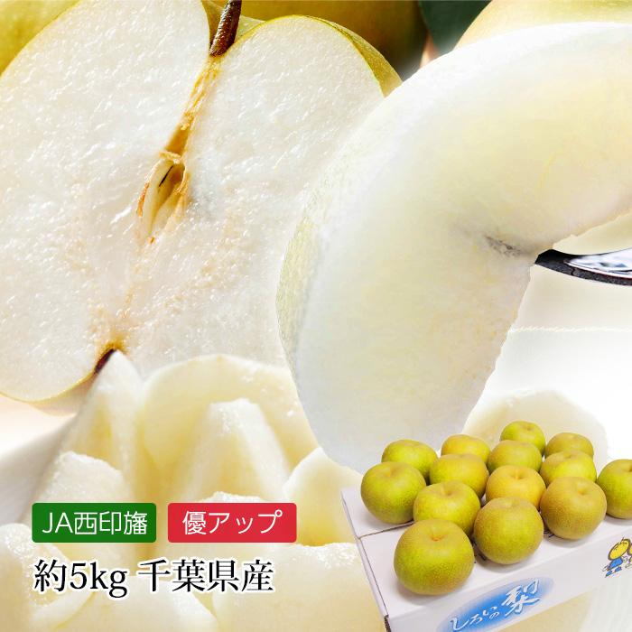 なし 白井の梨 幸水 優アップ 優品又は秀品 約5kg 12 16玉 千葉県産 1 産直プレミアム 通販 Yahoo ショッピング