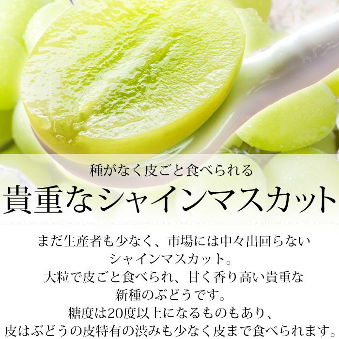 ぶどう シャインマスカット 巨峰 山梨県産 約1.1kg 各1房 爆買 : 産直
