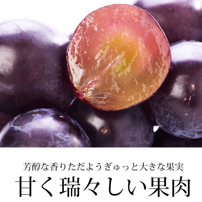 山梨県産ぶどう⭐️シャインマスカット 巨峰⭐️家庭用 4個入り 箱込み約2.8キロ ぶどう シャインマスカット 巨峰 山梨県産 約1.1kg 各1房 爆買 : 産直
