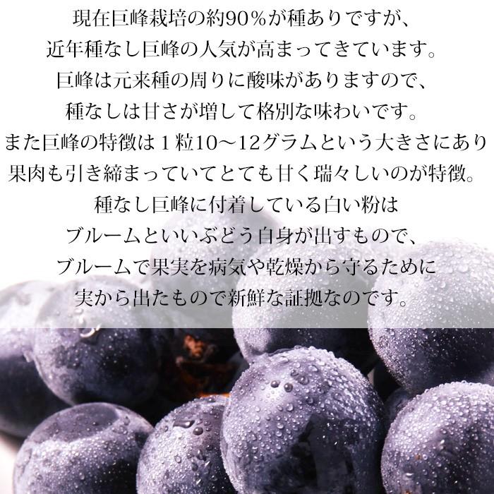 ぶどう シャインマスカット 巨峰 山梨県産 約1.1kg 各1房 爆買 : 産直