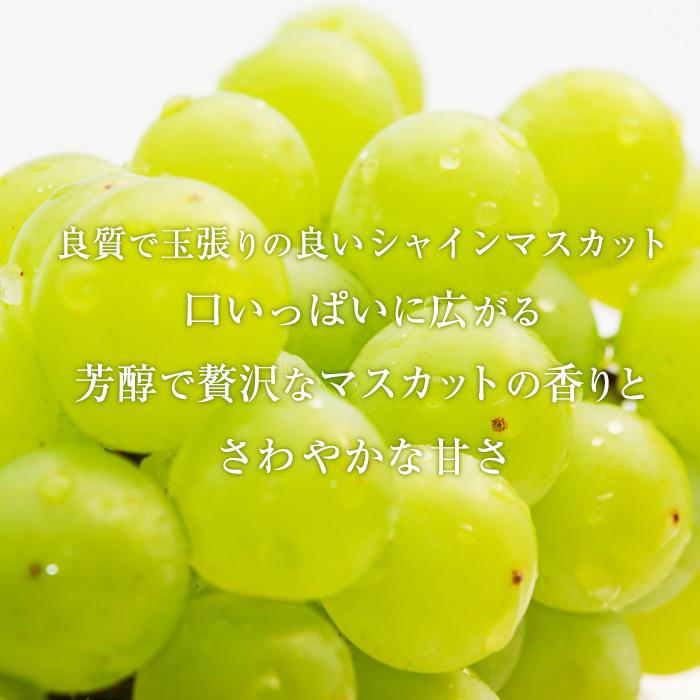 山梨県産 ぶどう⭐️巨峰 シャインマスカット⭐️家庭用 箱込み約3.8キロ ぶどう シャインマスカット 巨峰 山梨県産 約1.1kg 各1房 爆買 : 産直