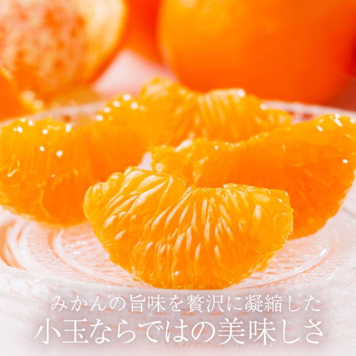 みかん 熊本県産 夢未来 約4kg SSサイズ 48〜64個 小玉 小粒 みかん 熊本県産 夢未来 約4kg SSサイズ 48〜64個 小玉 小粒