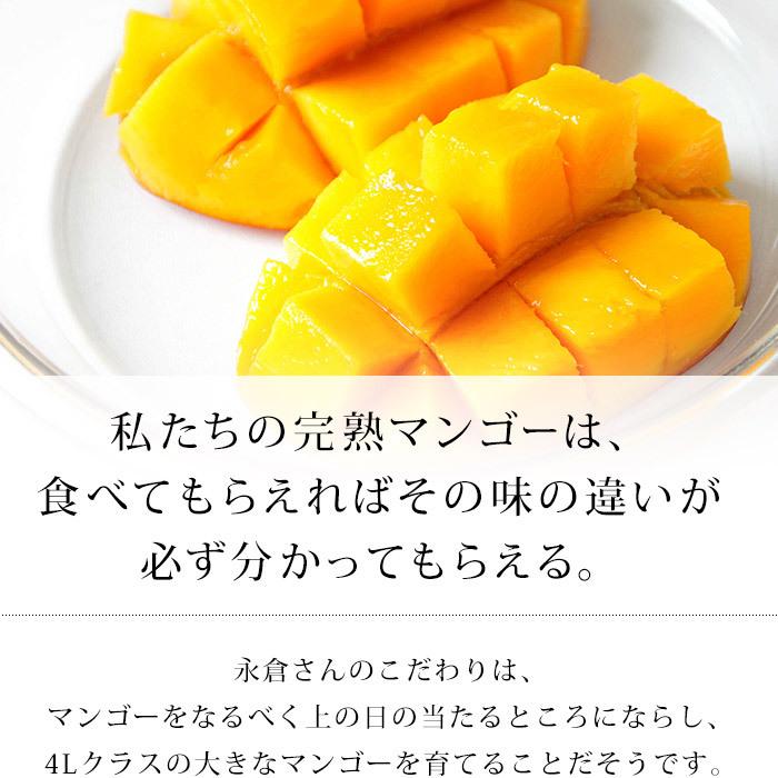 マンゴー 完熟宮崎マンゴー 宮崎県産 5Lサイズ 1玉 爆買 : 産直