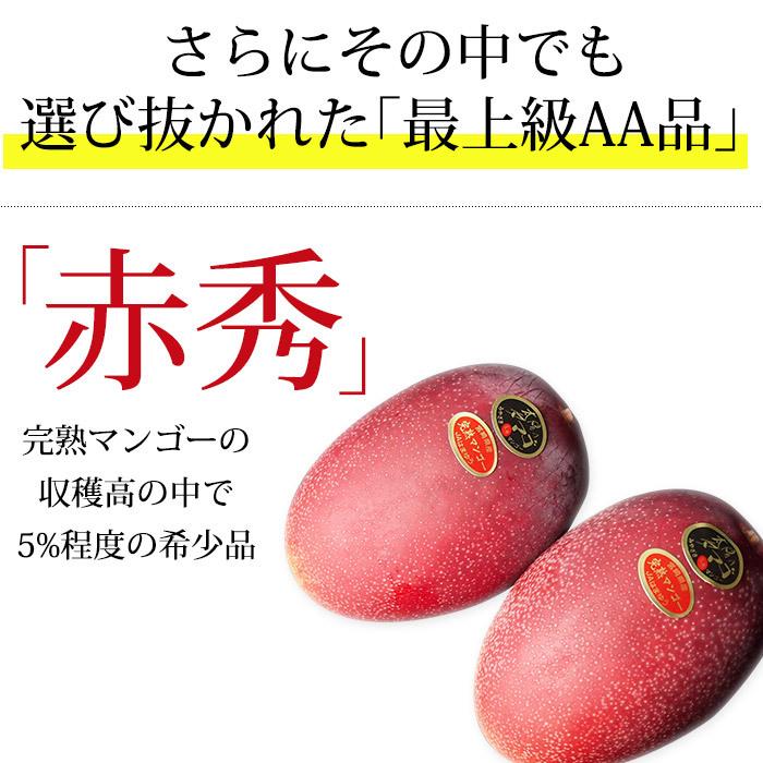 宮崎マンゴー 宮崎県産 太陽のタマゴ 赤秀 4Lサイズ (510g以上)×2玉｜yogmogg｜04