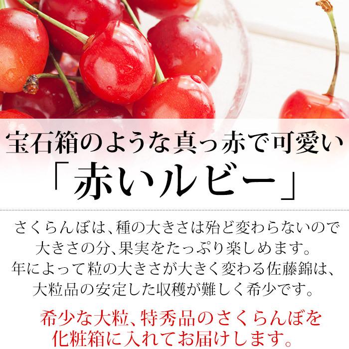 売店 山形佐藤錦2L 紅秀峰2L 400g 紅秀峰、静御前、佐藤錦