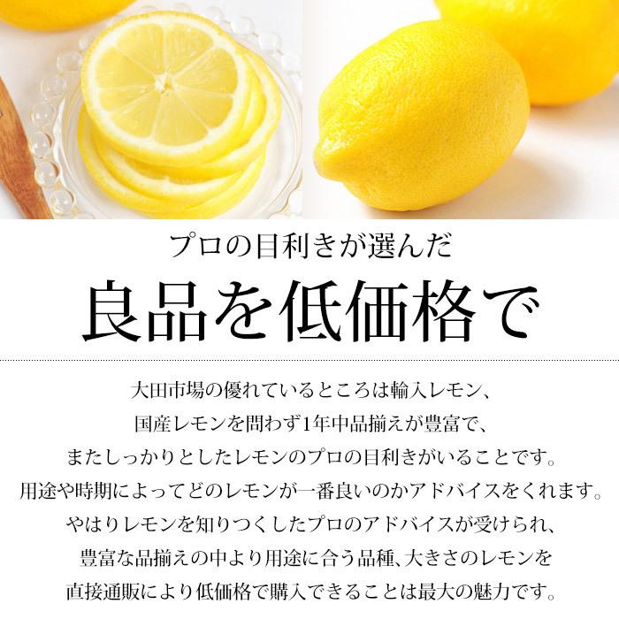 レモン カリフォルニア産 チリ産 約3kg 30個 爆買 : 産直プレミアム