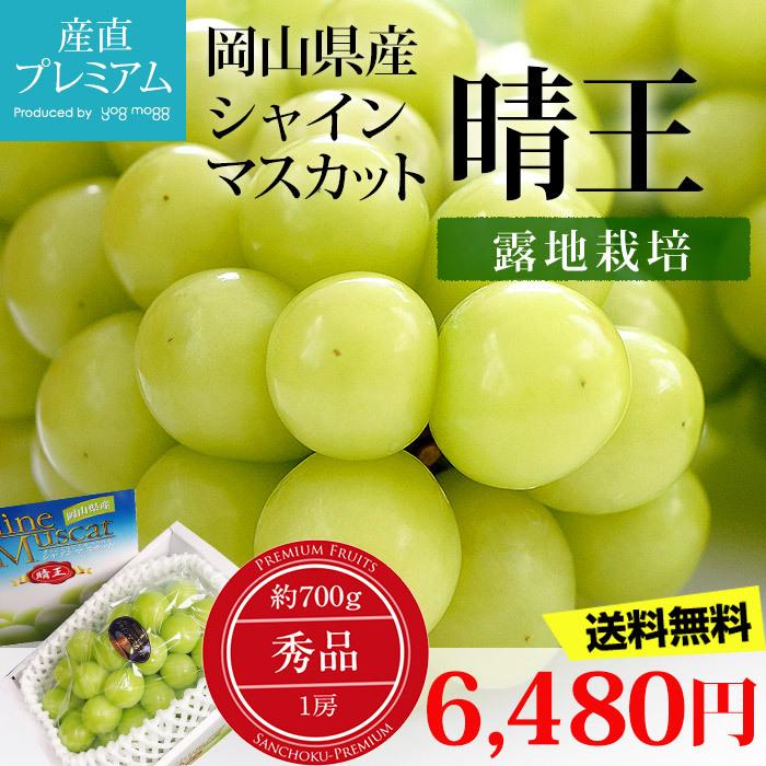 新作 ぶどう シャインマスカット 晴王 秀品 約700g 1房 岡山県産