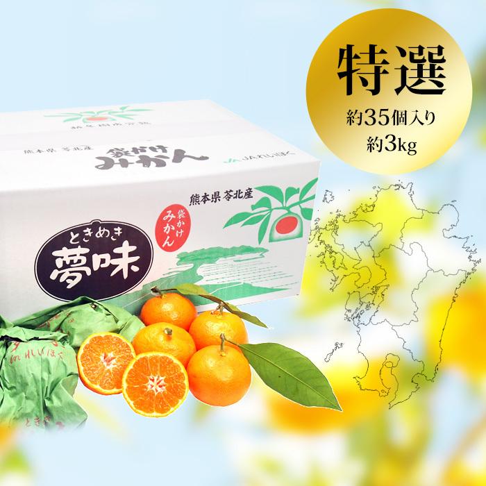 高級みかん 夢味 熊本県産 越冬袋掛けみかん 特選 約3kg 大サイズ 約35