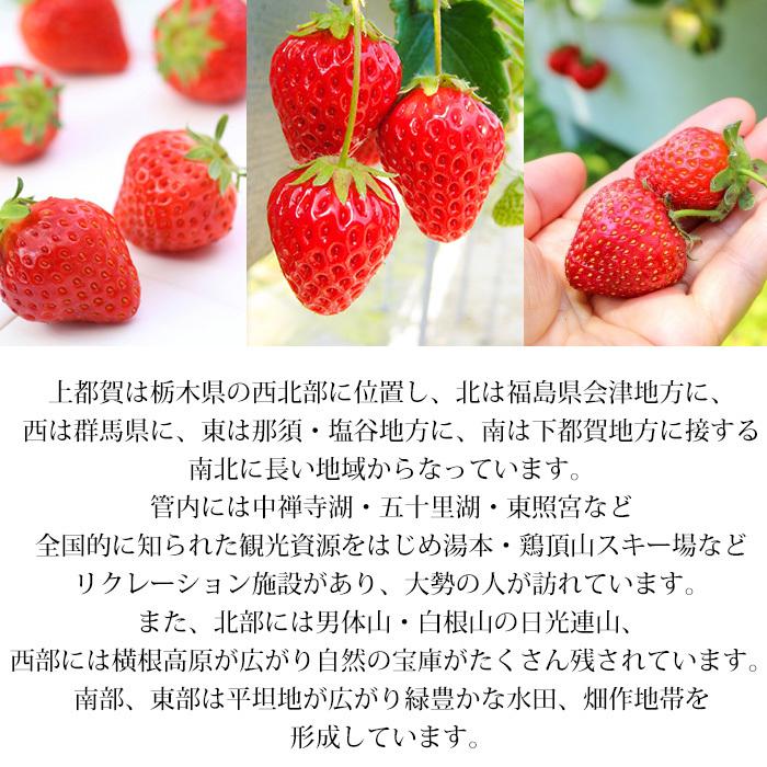 いちご 栃木県産 スカイベリー G 2パック(約280g/1パック いちご 栃木県産 スカイベリー G 2パック(約280g/1パック