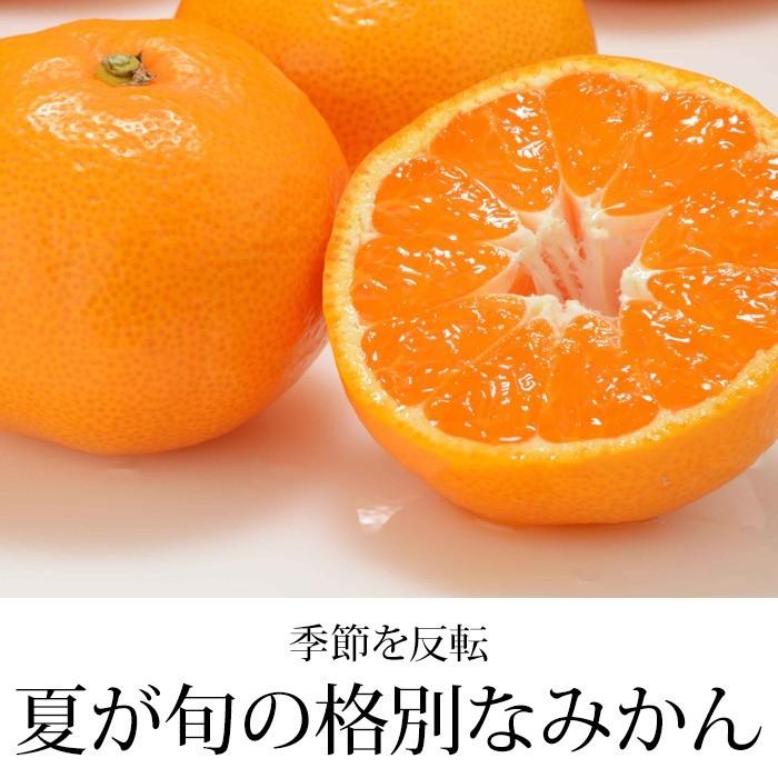 佐賀県産 ハウスみかん 5キロ ハウスみかん 佐賀県産 JAからつ 約5kg (目安として120〜160玉