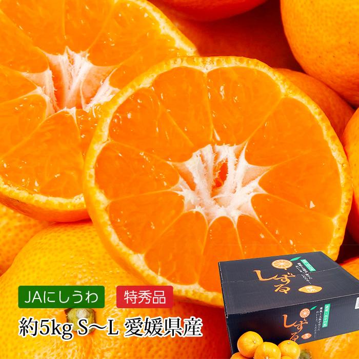 みかん しずる 雫流 愛媛県産 特秀品 約5kg S〜Lサイズ 40〜60個 爆買