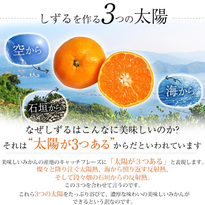 みかん しずる 雫流 愛媛県産 特秀品 約5kg S〜Lサイズ 40〜60個 爆買