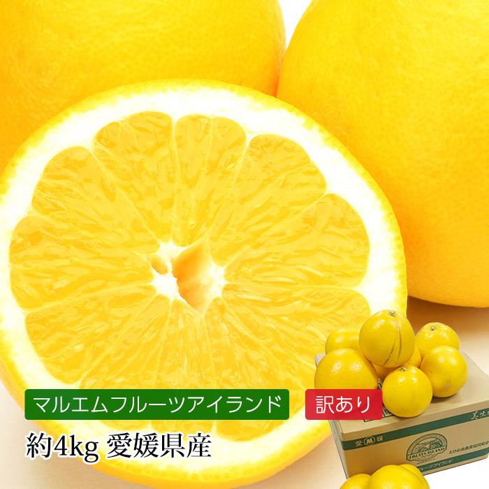 人気の製品 美生柑 みしょうかん 訳あり 約10 18玉 約4kg 愛媛県