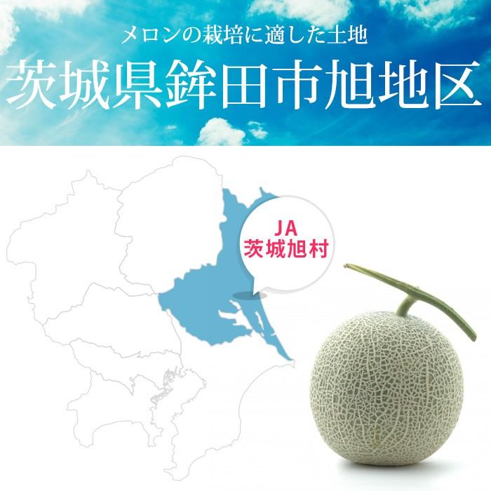 メロン 茨城県産 クインシーメロン アンデスメロン（又はエルソルメロン） 2Lサイズ 約2kg（約1kg×2玉） 青肉 赤肉 各1玉セット｜yogmogg｜07