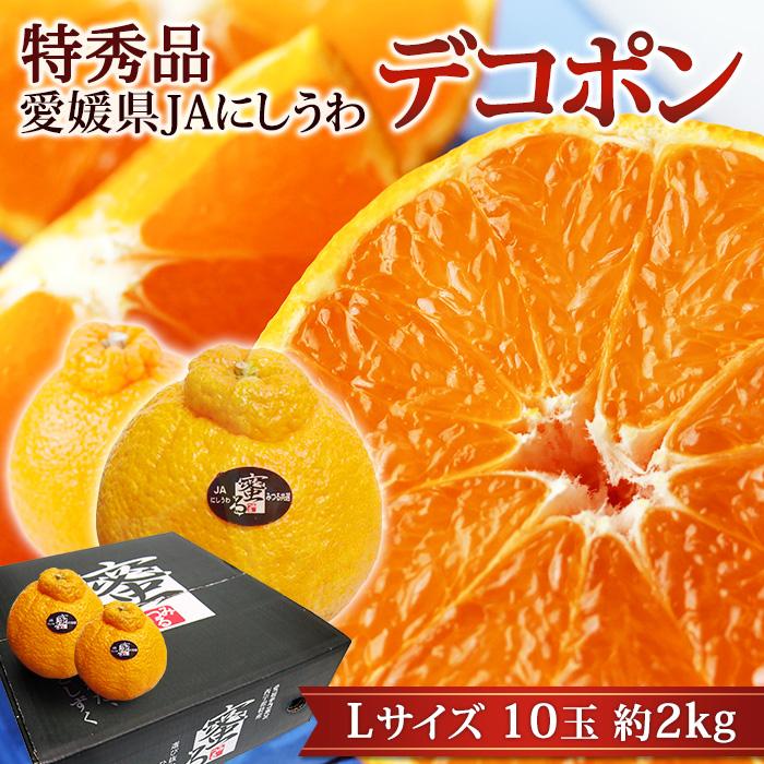 みかん デコポン 愛媛県産 特秀品 約2kg Lサイズ 10玉 蜜る 糖度14度