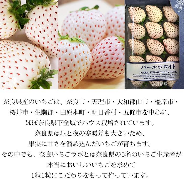 いちご パールホワイト 真珠姫 奈良県産 2パック : 産直プレミアム