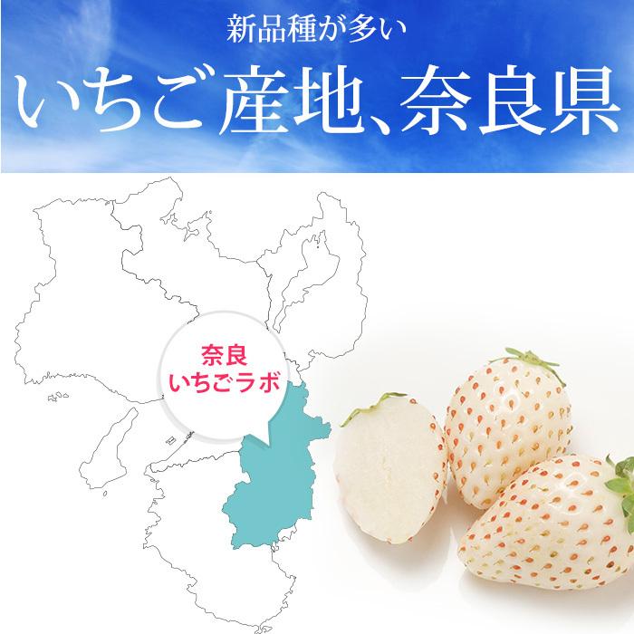 【奈良県】NARA STRAWBERRY LAB. 3色いちごセット✖️2 楽天市場】いちご 奈良いちごラボ 3種 （古都華・淡雪・パールホワイト