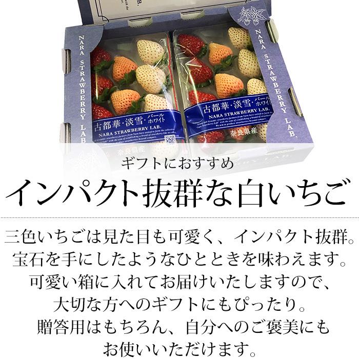 【奈良県】NARA STRAWBERRY LAB. 3色いちごセット✖️2 いちご 三色いちご 奈良県産 2パック 爆買 : 産直プレミアム - 通販