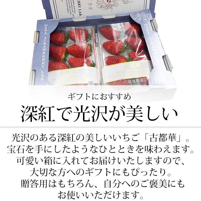 いちご 奈良県産 古都華 2パック : 産直プレミアム - 通販 いちご 奈良県産 古都華 2パック : 産直プレミアム - 通販