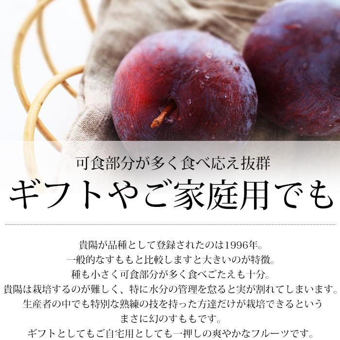 市場 貴陽 プラム通販 きようすもも李を御中元に販売取寄 きよう