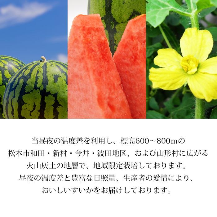 すいか 松本ハイランドすいか 長野県産 A等級 3Lサイズ以上 2玉 爆買 |  | 04